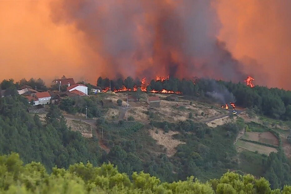 2020-07-26_11_34_47 Diogo Dias, o jovem bombeiro que morreu num acidente durante combate às chamas em Oleiros.jpg