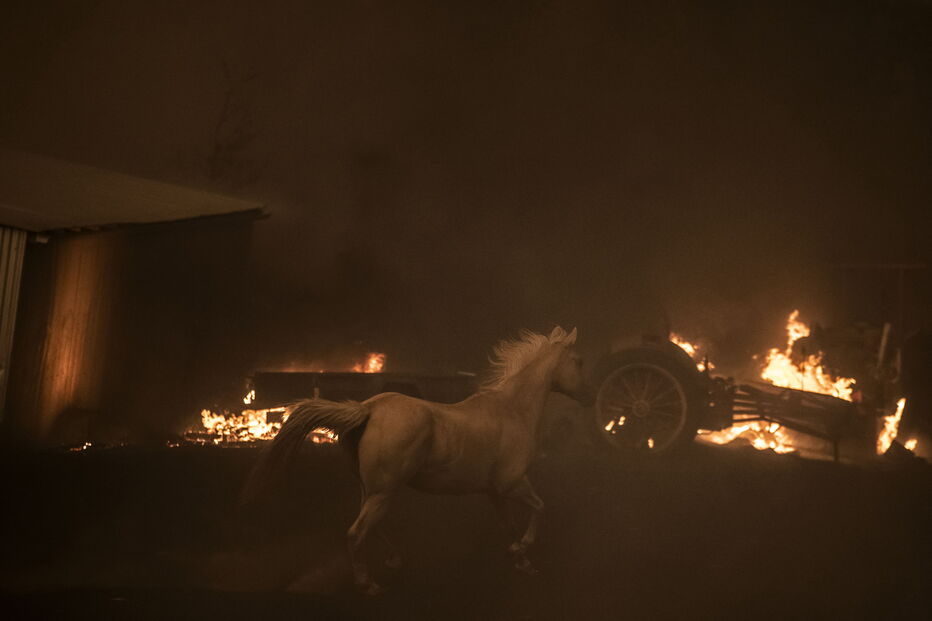 Imagem 35607676.jpg (6272849) (Milenium)