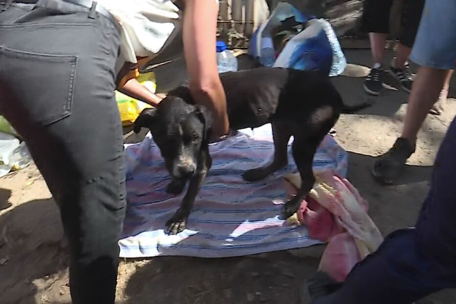 Imagem VLCSNAP-2020-07-19-16H57M05S860.JPG (6272415) (Milenium)