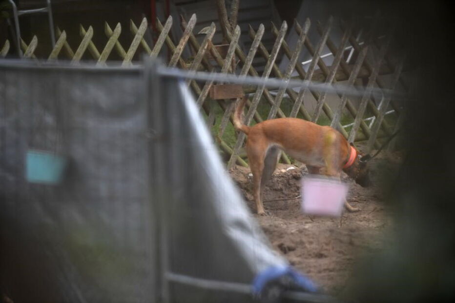 Polícia alemã encontra vestígios de cave secreta de suspeito de raptar Maddie McCann durante escavações em Hannover