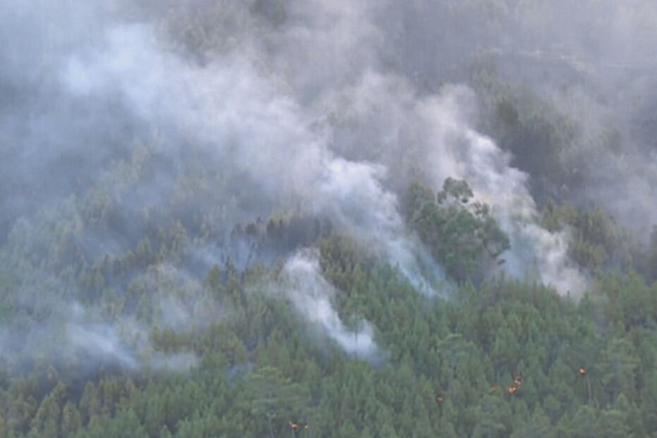 Incêndio combatido por 10 meios aéreos aproxima-se de aldeia na Covilhã. Veja as imagens