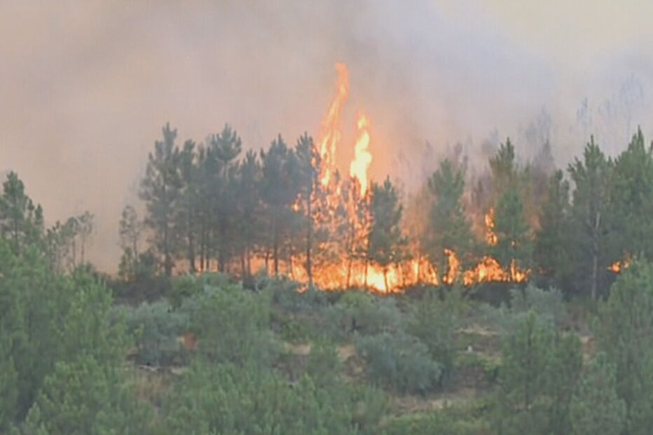 Incêndio combatido por 13 meios aéreos ameaça aldeia e parque natural na Covilhã	