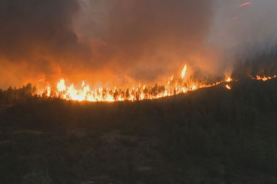 Incêndio na Covilhã ameaça aldeia de Sobral de São Miguel