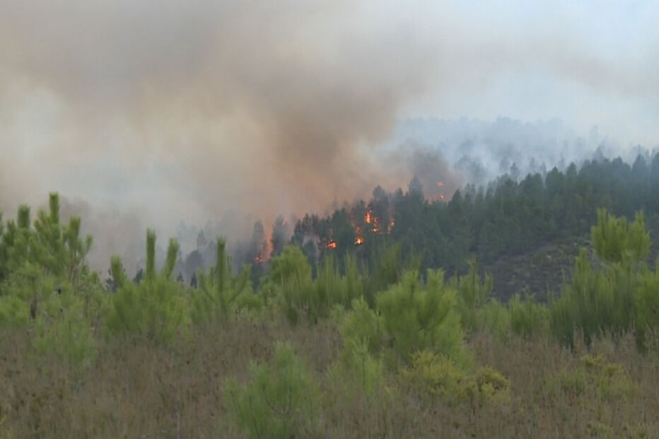 Incêndio na Covilhã