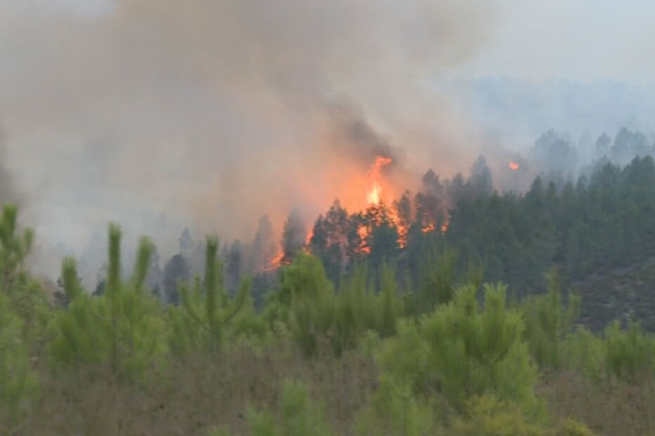 Incêndio na Covilhã	