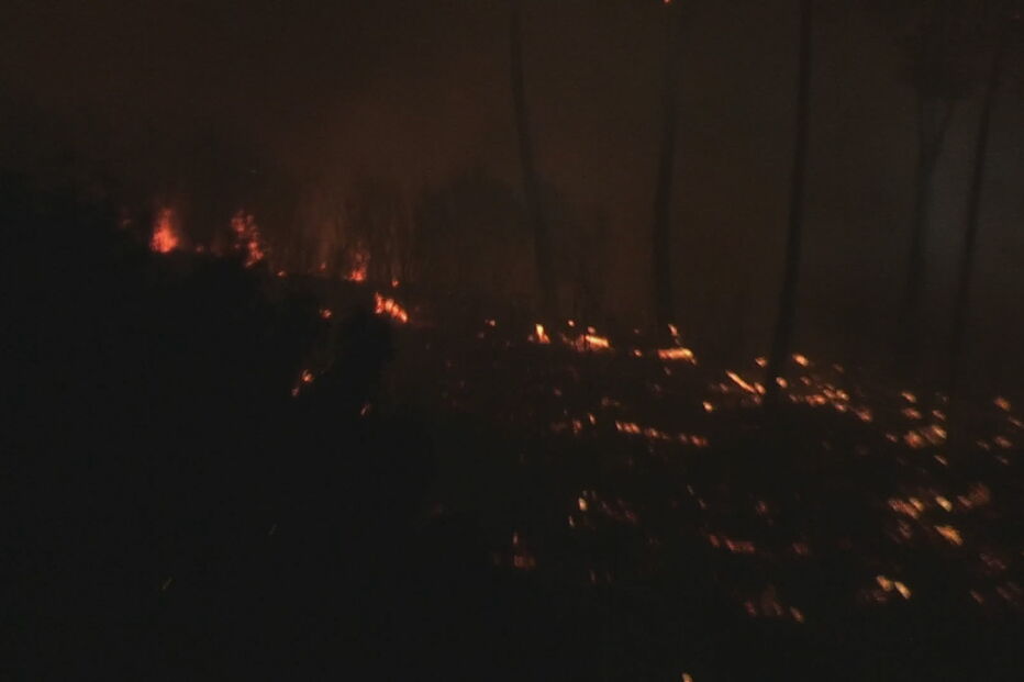 Cinco bombeiros feridos em incêndio em Chaves. Mais de 300 operacionais combatem chamas
