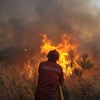 Bombeiro ateia fogo para caçar javalis na Covilhã