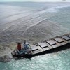 Encontrados 25 cetáceos mortos perto do local onde navio derramou petróleo nas Maurícias