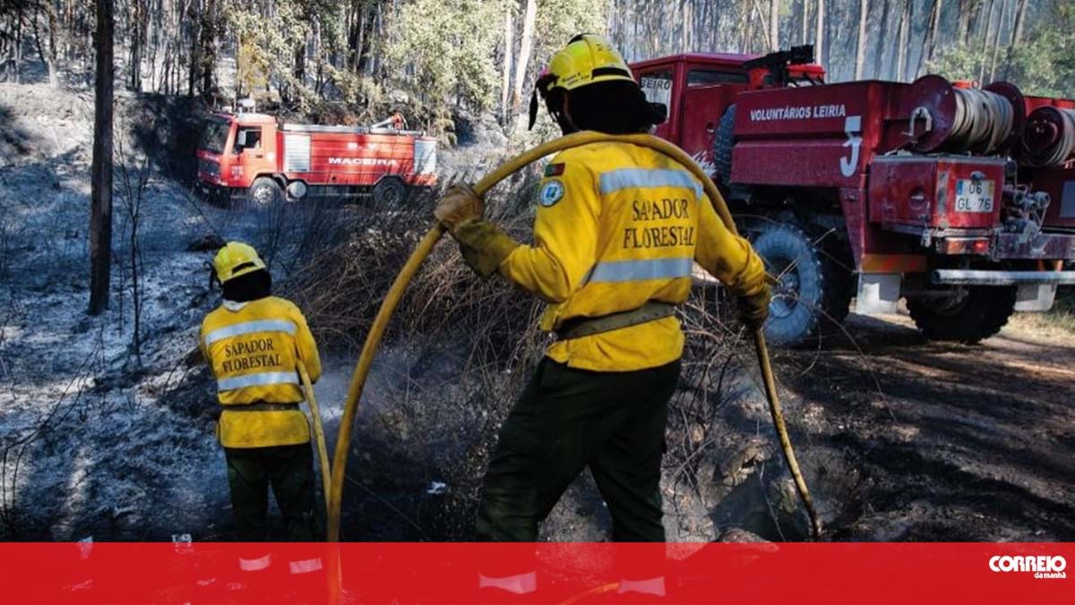 As of 11:00 p.m., more than 900 operatives were fighting five fires across the country.