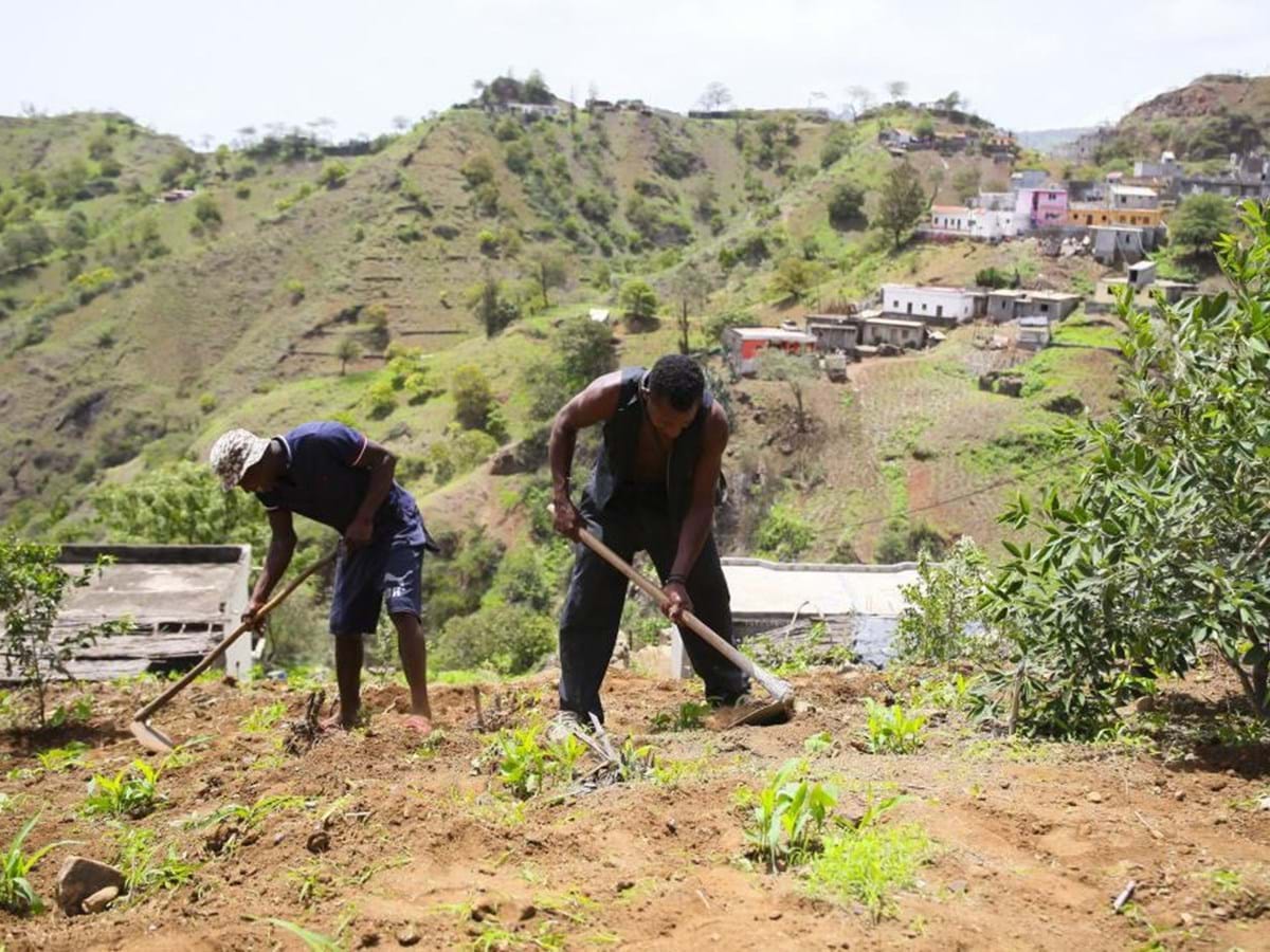 Agricultores potiguares relatam ter visto fenômeno no céu