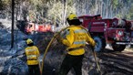 Ex-dirigente da Proteção Civil diz que houve 'atraso na montagem do posto de comando' nos incêndios de Pedrógão Grande
