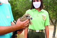 Técnicos do RIAS acompanharam a devolução do animal à natureza