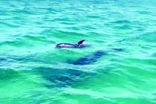 José Mourinho está de férias com a família