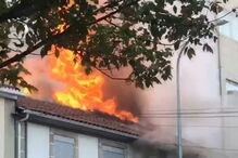 2020-08-04_20_21_31 jbs.JPG