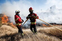 Imagem _VMO7994.JPG (6376821) (Milenium)