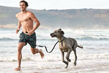 Imagem 35636121.jpg (6392669) (Milenium)