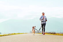 Imagem Canicross 35703604.jpg (6392934) (Milenium)