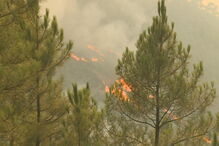 Incêndio no Fundão