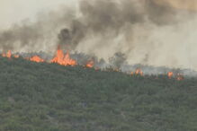 Incêndio em Sernancelhe	