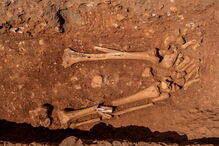 /fotosgeral/Fotos/2-35702003 (6422938) (Milenium)