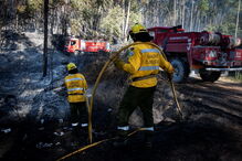 Imagem 0K6A9155.JPG (6422299) (Milenium)