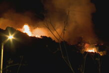 Incêndio lavra em zona de mato na Amadora. Veja as imagens