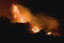 Incêndio lavra em zona de mato na Amadora. Veja as imagens