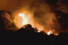 Incêndio lavra em zona de mato na Amadora. Veja as imagens