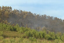 meios aéreos, incêndio, pampilhosa da serra