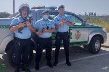 2020-08-10_20_26_31 GNR Gatos Alcacer do Sal.jpg