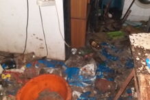 Ativistas e moradores resgatam animais no Porto que viviam no meio de carcaças em decomposição