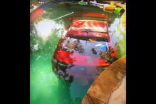 2020-08-17_13_58_39 01-bebado.jpg