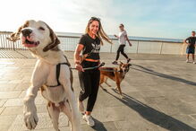 2020-08-19_14_43_25 GettyImages-1222555940.jpg