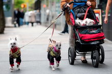 2020-08-19_14_43_28 GettyImages-1140224741.jpg