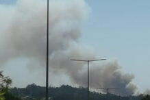 Incêndio no Pinheiro da Bemposta