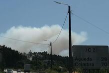 Incêndio no Pinheiro da Bemposta