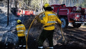 Proteção Civil coloca 10 distritos em alerta amarelo devido ao risco elevado de incêndio