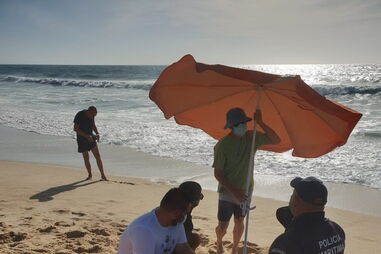 /fotosgeral/Fotos/2-35671894 (6354014) (Milenium)