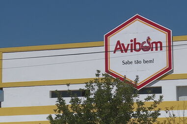 Seis funcionários de aviário em Tomar testam positivo para coronavírus. É o segundo surto em empresas da cidade