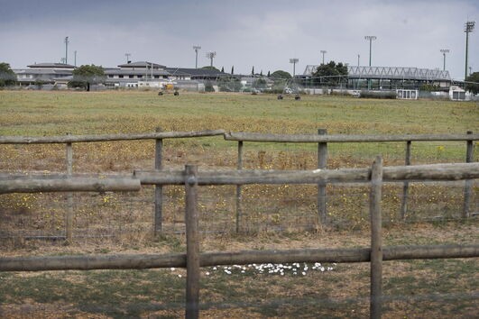 2020-08-11_19_40_51 _MBA3735.jpg