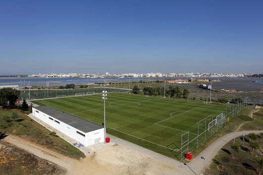 2020-08-11_19_41_06 6762643.JPG