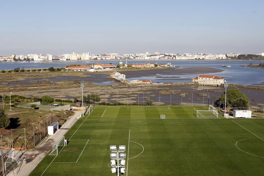 2020-08-11_19_41_09 6762665.JPG