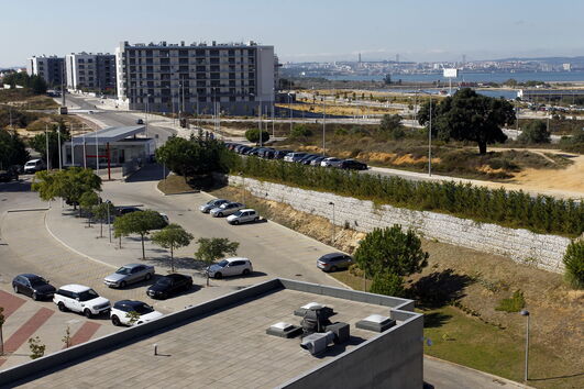 2020-08-11_19_41_12 6762684.JPG