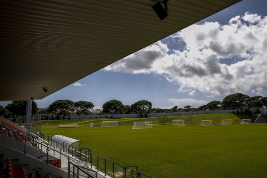 2020-08-11_19_41_19 18157168.jpg