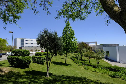 2020-08-11_19_41_24 18352940.jpg