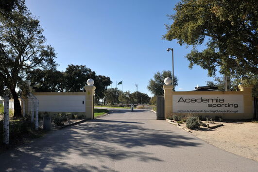 2020-08-11_19_42_22 9821746.jpg