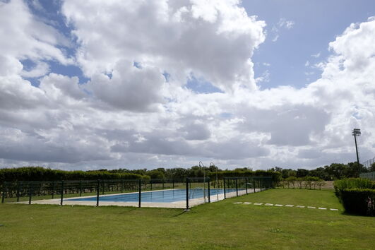 2020-08-11_19_42_24 12092320.jpg