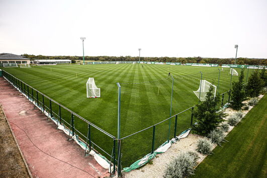 2020-08-11_19_42_44 34491883.JPG