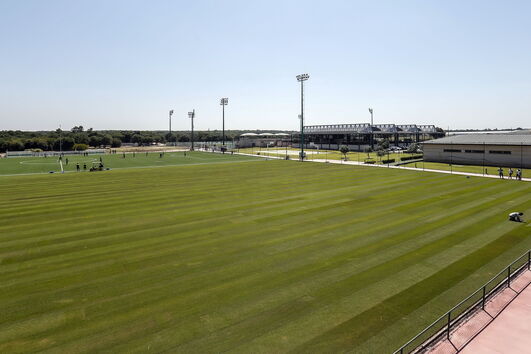 2020-08-11_19_42_48 35642515.jpg