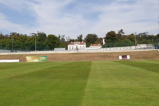 2020-08-11_19_44_23 18769998.jpg